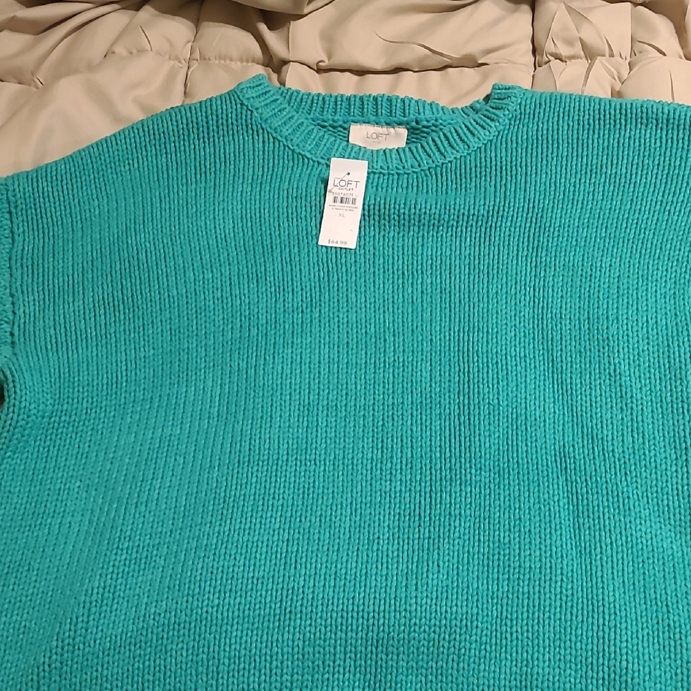 LOFT Teal Knit Sweater
